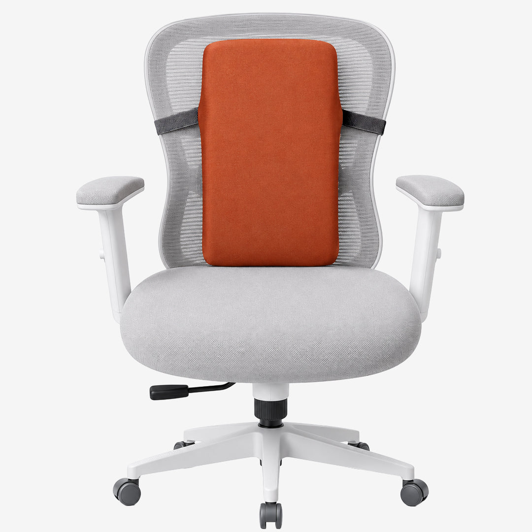 Flamingo Back Rest – Medium | Orthopaedic Back & Lumbar Support Cushion