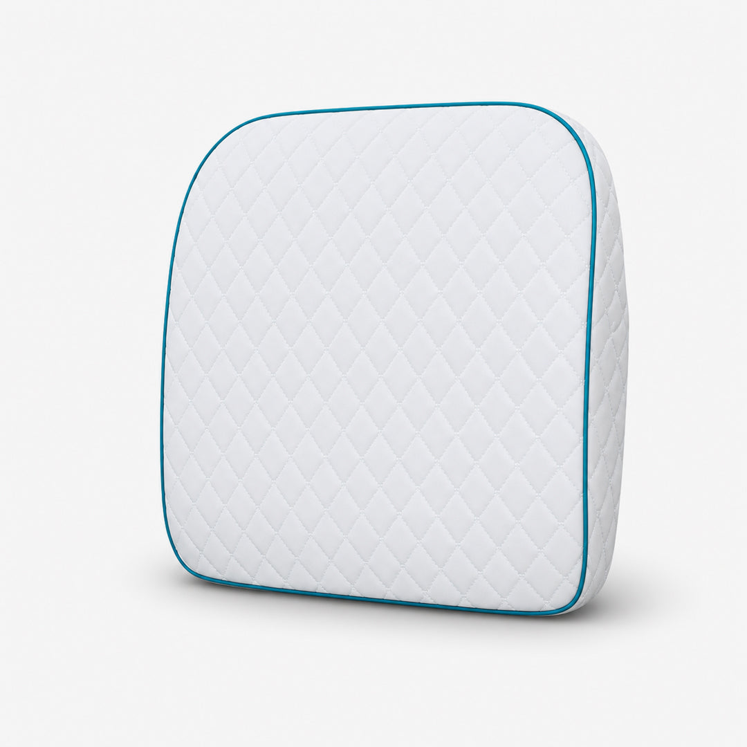 Flamingo Premium Memory Foam Back Rest Without Stand | Orthopaedic Lumbar Support Cushion